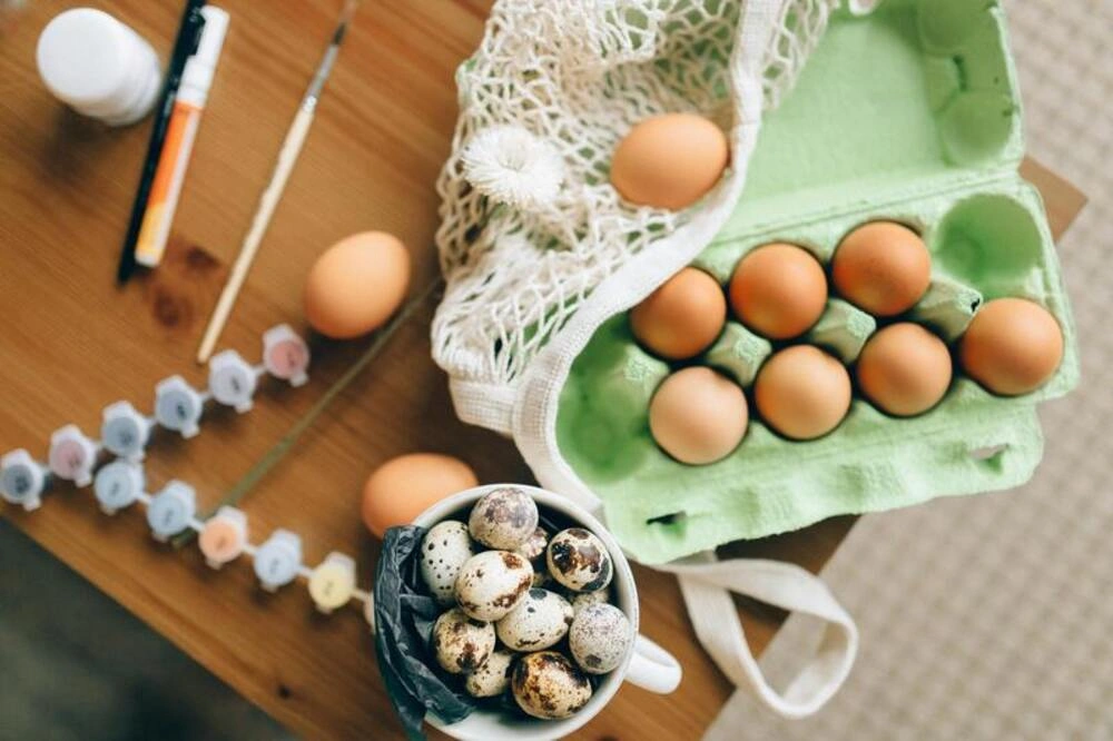 telur merupakan sumber nutrisi
